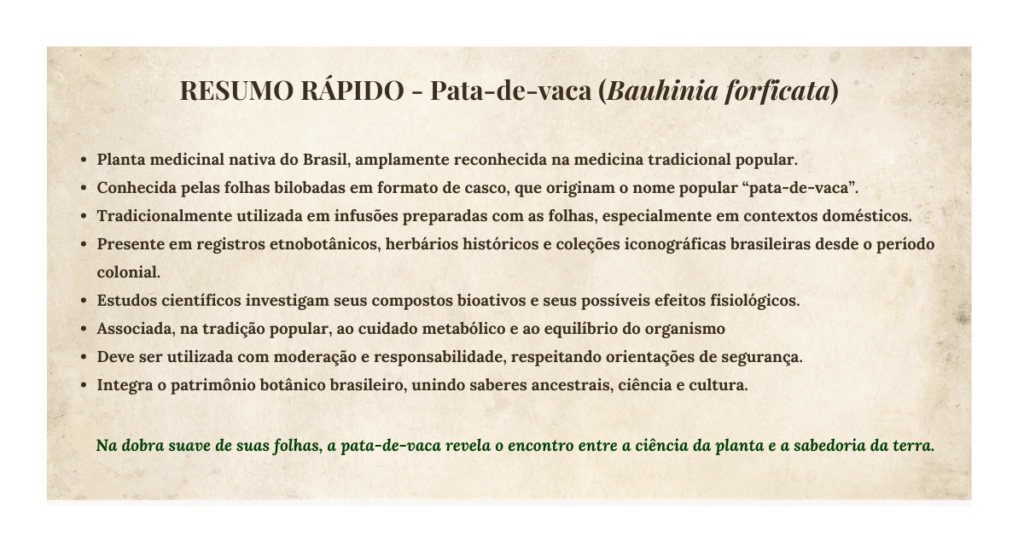 Pata-de-vaca (Bauhinia forficata): botânica, usos tradicionais e evidências científicas | Benverde Resumo Rapido Bauhinia Forticata | Benverde