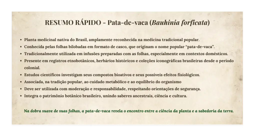 Pata-de-vaca (Bauhinia forficata): botânica, usos tradicionais e evidências científicas | Benverde Resumo Rapido Bauhinia Forticata | Benverde