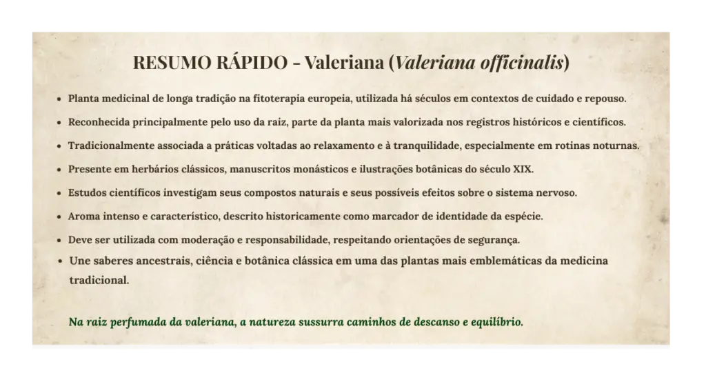 Valeriana (Valeriana officinalis): botânica, usos tradicionais e evidências científicas | Benverde Resumo rapido Valeriana officinalis | Benverde