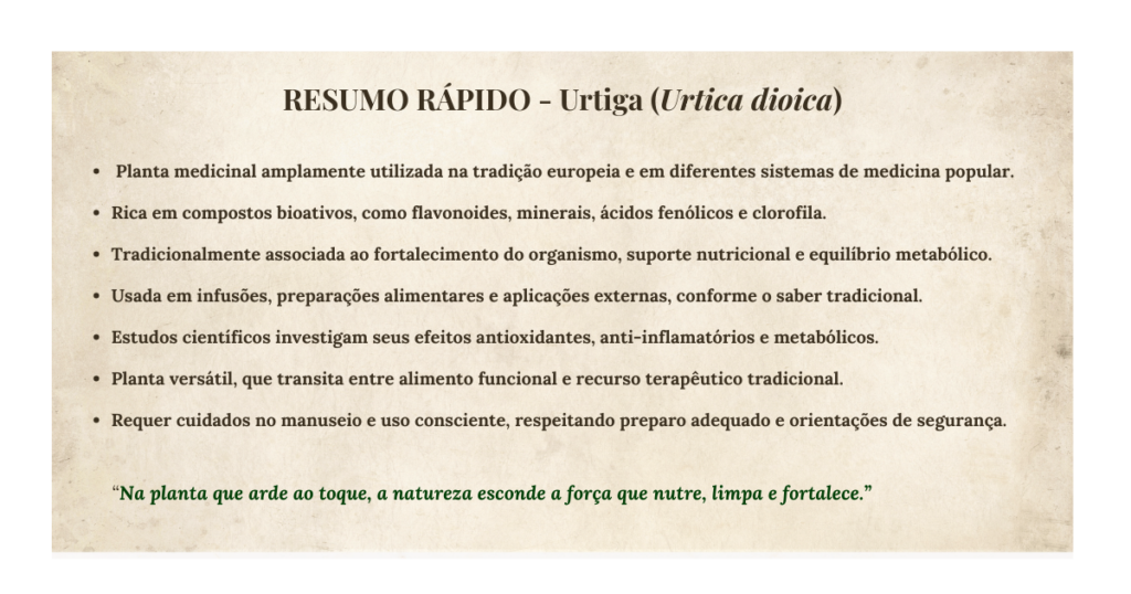 Urtiga (Urtica dioica): botânica, usos tradicionais, preparo e evidências científicas | Benverde Resumo rapido urtiga dioica | Benverde