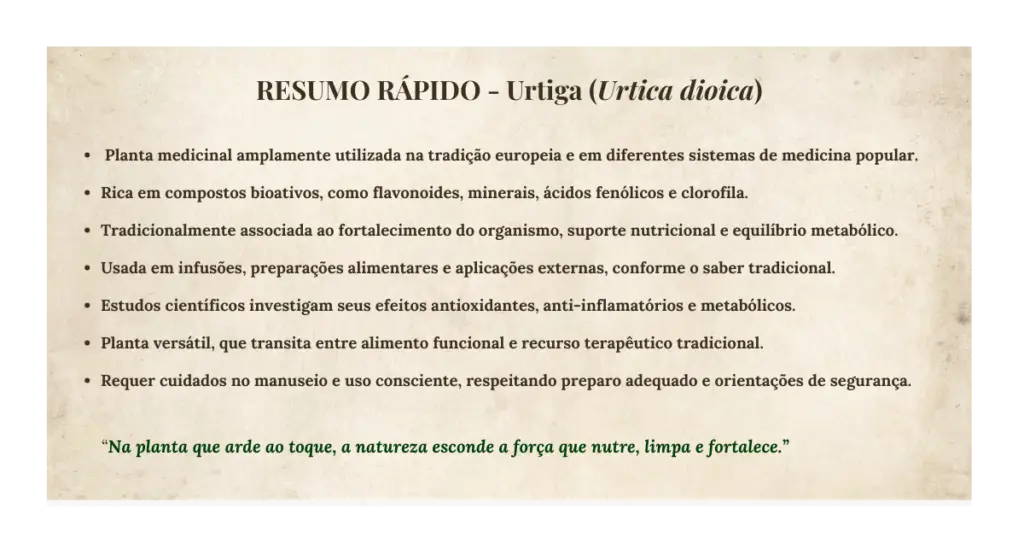 Urtiga (Urtica dioica): botânica, usos tradicionais, preparo e evidências científicas | Benverde Resumo rapido urtiga dioica | Benverde