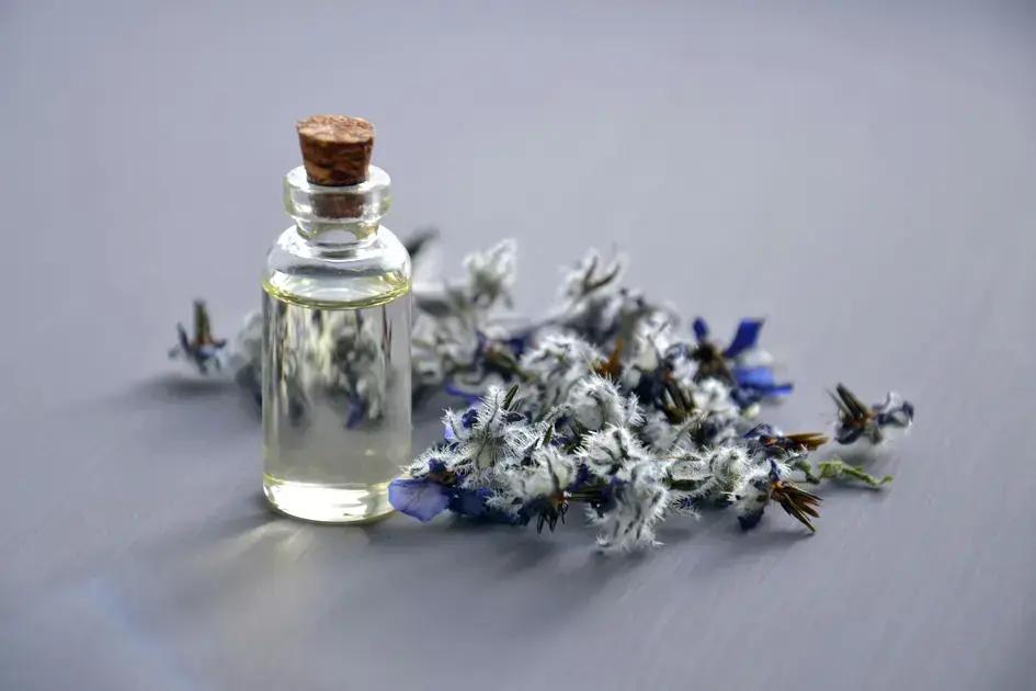 Óleo essencial de lavanda: flores de lavanda e frasco de óleo essencial sobre superfície clara
