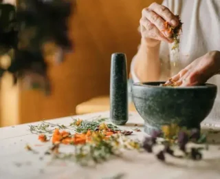 Como usar plantas medicinais com seguran&ccedil;a e efic&aacute;cia no dia a dia