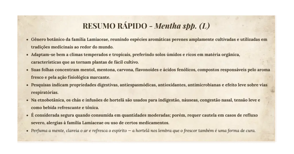 Hortelã (mentha spp.): botânica, usos tradicionais, preparo e evidências científicas) | Benverde Resumo científico da hortelã (Mentha spp.)
