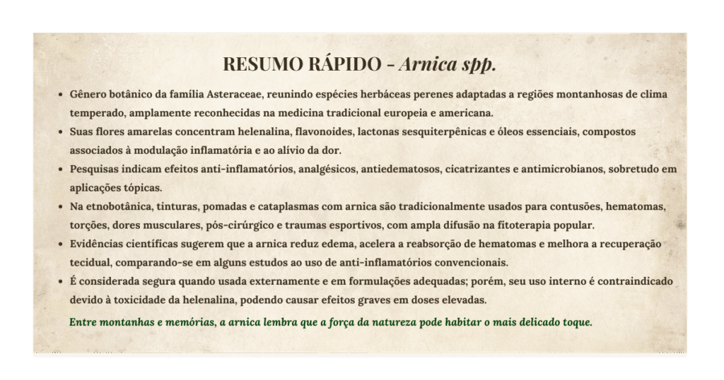 Arnica (Arnica montana e espécies brasileiras): usos medicinais, tradição popular e evidências científicas | Benverde esumo visual sobre a arnica, destacando características botânicas, usos tradicionais e informações de segurança.