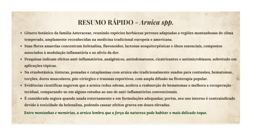 Arnica (Arnica montana e espécies brasileiras): usos medicinais, tradição popular e evidências científicas | Benverde esumo visual sobre a arnica, destacando características botânicas, usos tradicionais e informações de segurança.