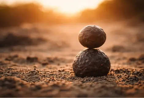 autocuidado para reduzir estresse e ansiedade: equilíbrio interior e redução do estresse: pedras empilhadas em equilíbrio ao pôr do sol simbolizando calma, estabilidade emocional e redução da ansiedade