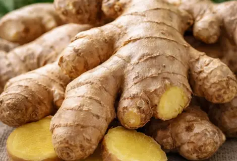 Raiz de gengibre fresca, utilizada no preparo do chá de gengibre terapêutico