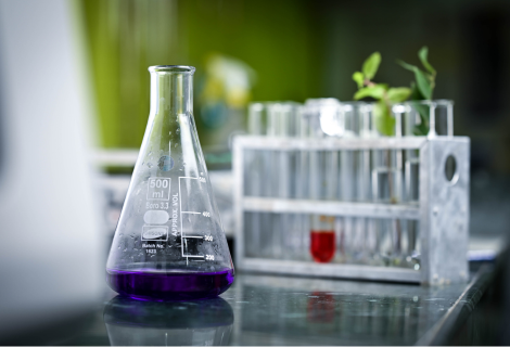 fitoterapia moderna em laboratório com extratos de plantas e análise científica