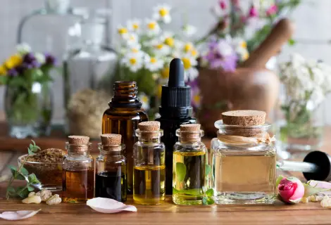 História da Fitoterapia: das civilizações antigas à medicina natural moderna | Benverde História da Fitoterapia: frascos de extratos e óleos de plantas medicinais em ambiente de estudo