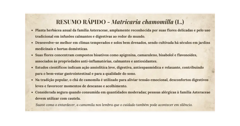 Resumo rápido da planta medicinal camomila (Matricaria chamomilla) com principais propriedades, usos tradicionais e características botânicas.