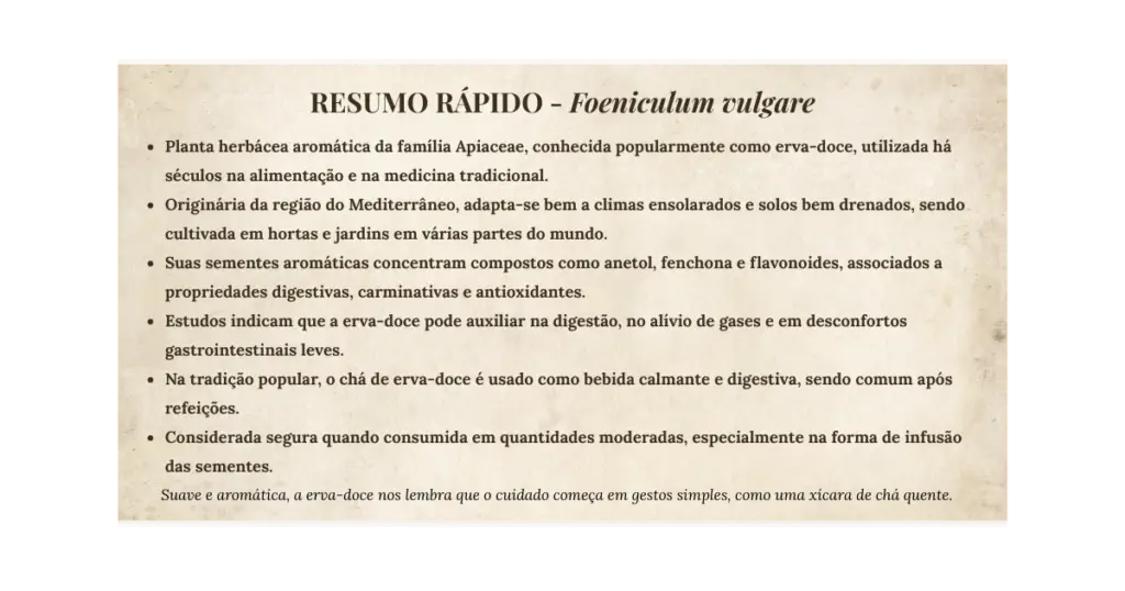 Card resumo Erva doce | Benverde