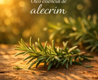 Óleo essencial de alecrim: benefícios, como usar e cuidados importantes
