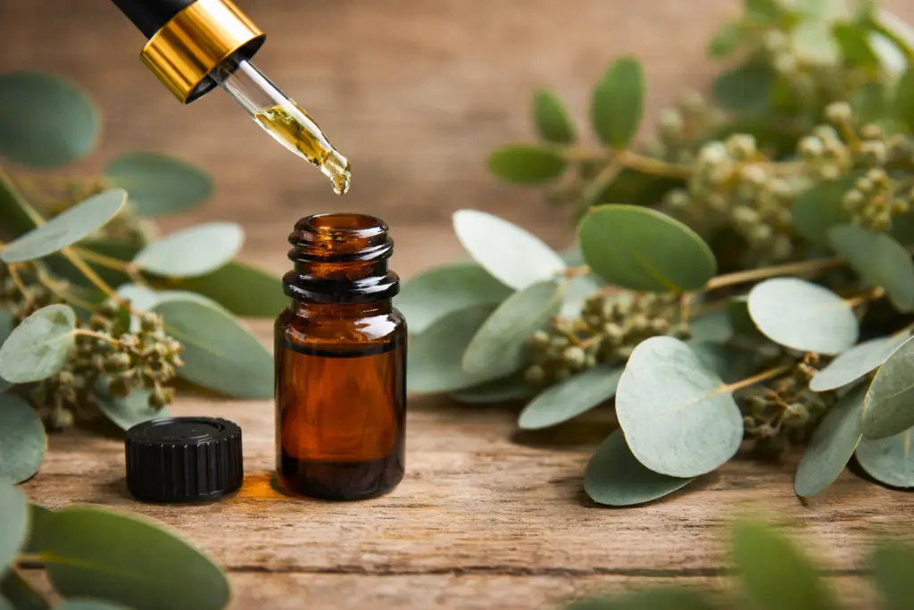 Frasco de óleo essencial de eucalipto com folhas frescas de Eucalyptus globulus sobre mesa de madeira