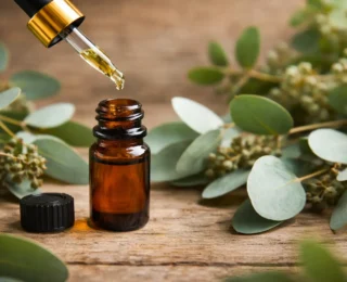 Óleo Essencial de Eucalipto: benefícios, usos e cuidados na aromaterapia