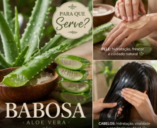 Para que serve a babosa? Benef&iacute;cios e como usar no dia a dia