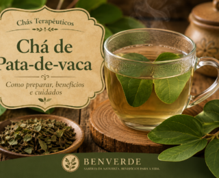 Chá de pata-de-vaca: benefícios, como preparar e cuidados