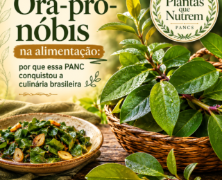 Ora-pro-nóbis na alimentação: por que essa PANC conquistou a culinária brasileira