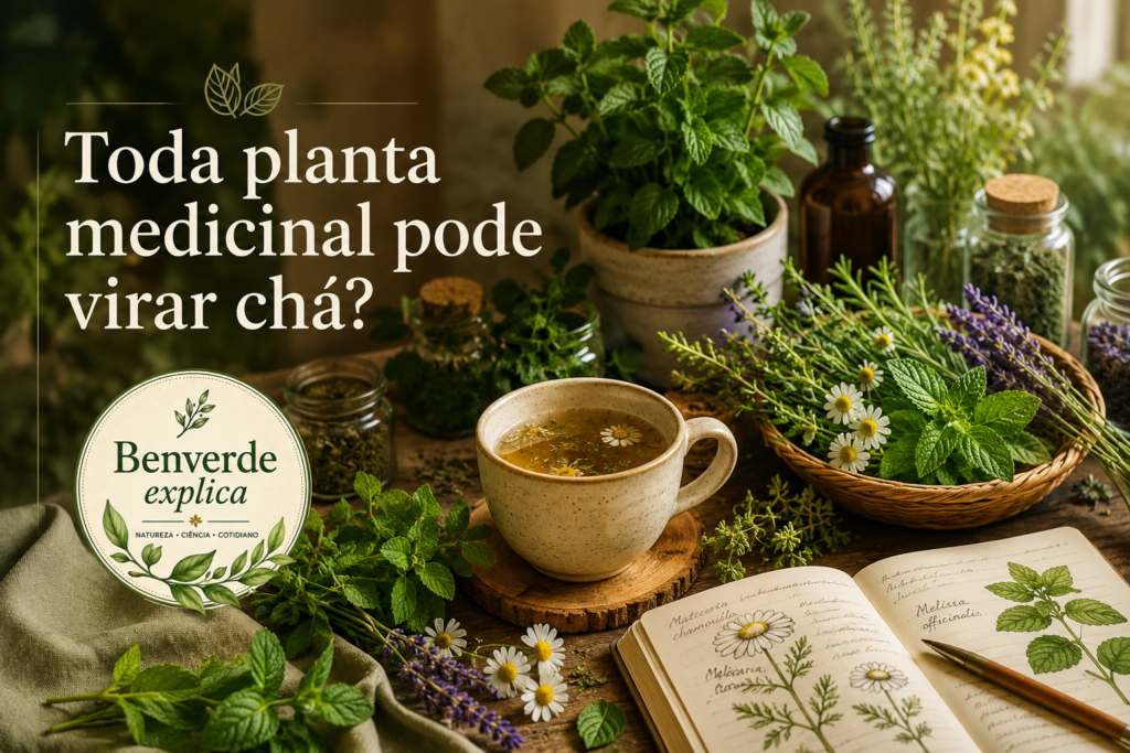 Toda planta medicinal pode virar chá? mesa botânica com ervas medicinais, chá natural, caderno herbal e selo Benverde Explica em ambiente rústico acolhedor.
