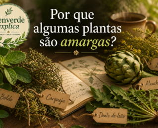 Por que algumas plantas são amargas? O que a natureza tenta nos dizer