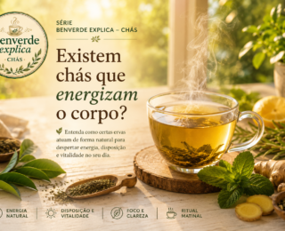 Existem chás que energizam o corpo? Entenda a relação entre ervas e disposição natural