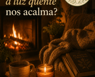 Por que gostamos tanto de fogo, velas e luz quente? O conforto que o cérebro reconhece