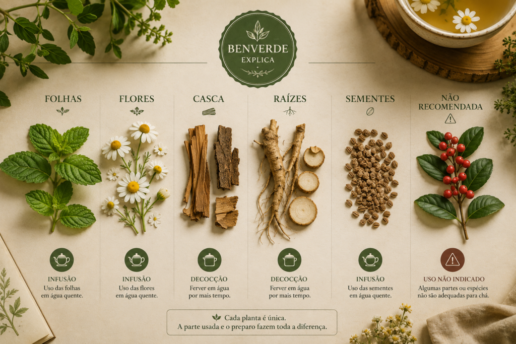 Painel botânico mostrando folhas, flores, cascas, raízes e sementes utilizadas em preparos tradicionais de chás naturais.