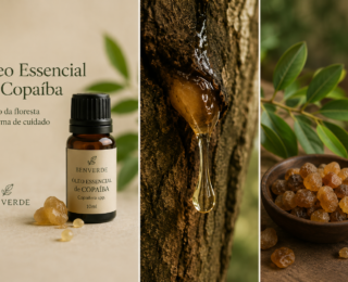 Óleo Essencial de Copaíba: origem, aroma e usos na aromaterapia