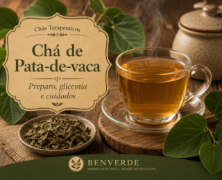 Chá de pata-de-vaca: como preparar, glicemia e cuidados