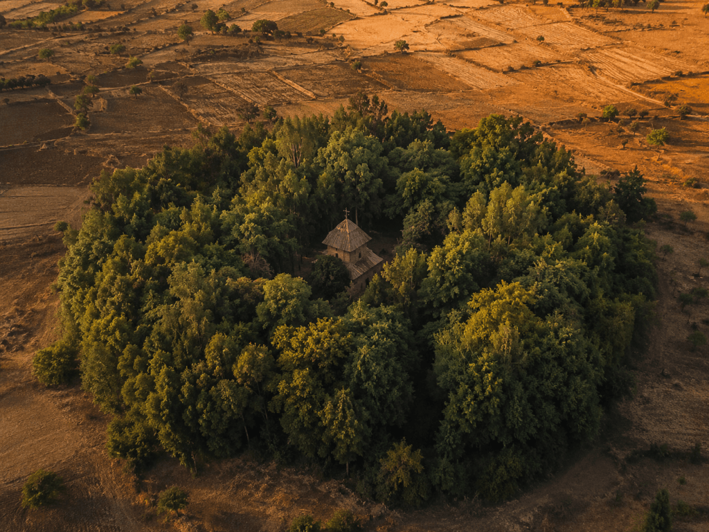 Ilha de floresta preservada ao redor de uma igreja em meio à paisagem agrícola da Etiópia