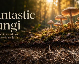 Fantastic Fungi: o universo invisível que sustenta a vida na Terra