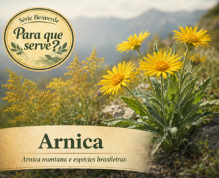 Para que Serve a Arnica? Como usar e cuidados importantes