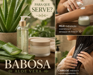 Para que serve a babosa? Usos, benefícios e cuidados