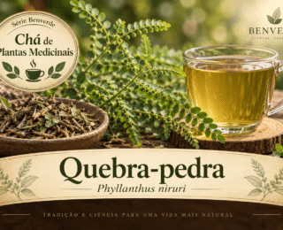 Chá de Quebra-pedra: para que serve, como fazer e cuidados