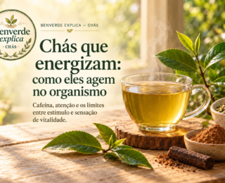 Chás que energizam: como eles agem no organismo