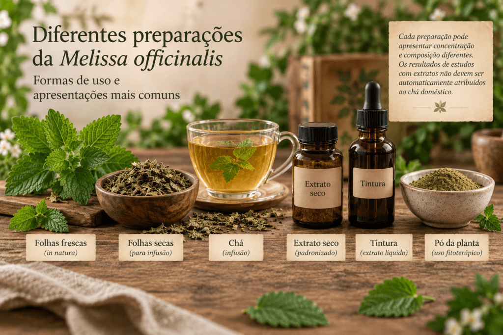 Diferentes preparações de Melissa officinalis com folhas frescas, folhas secas, chá, extrato seco, tintura e pó da planta.