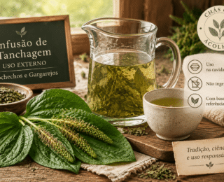 Chá de tanchagem: para que serve, como fazer e cuidados