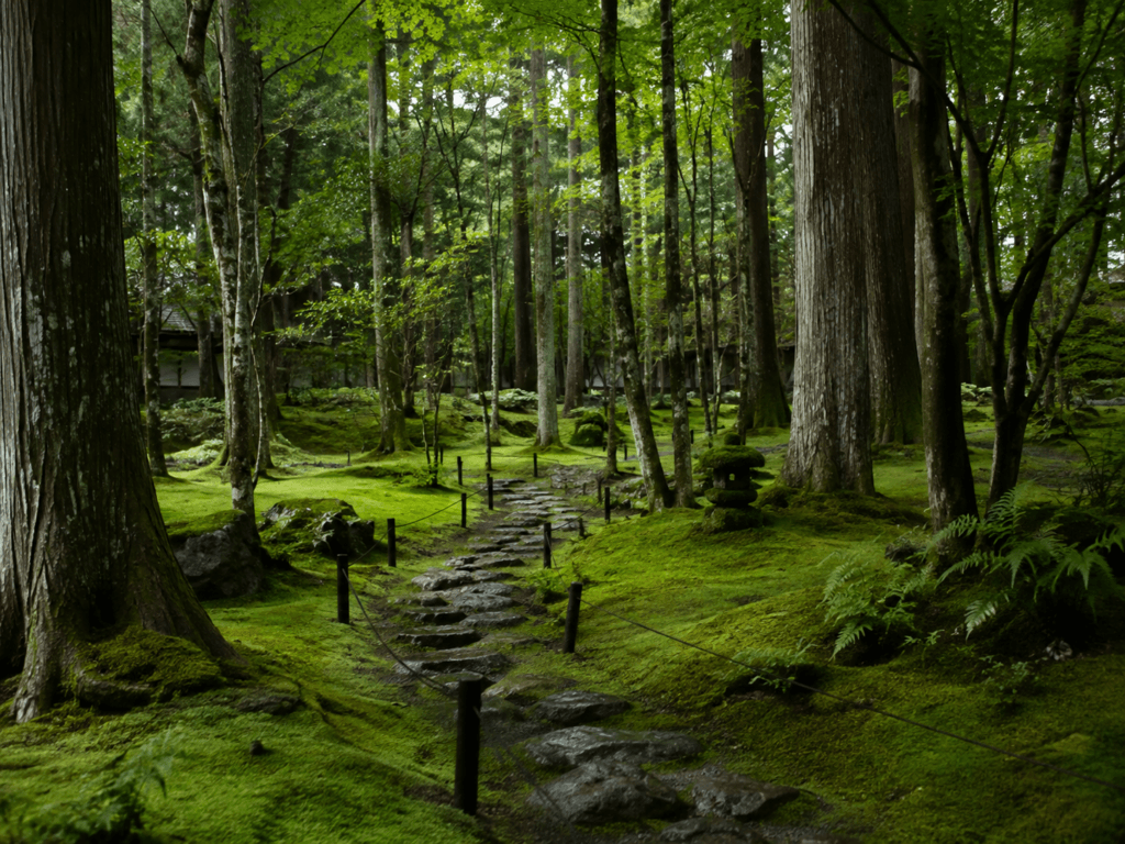 Caminho de pedras entre musgos e árvores em jardim zen japonês inspirado em Kokedera