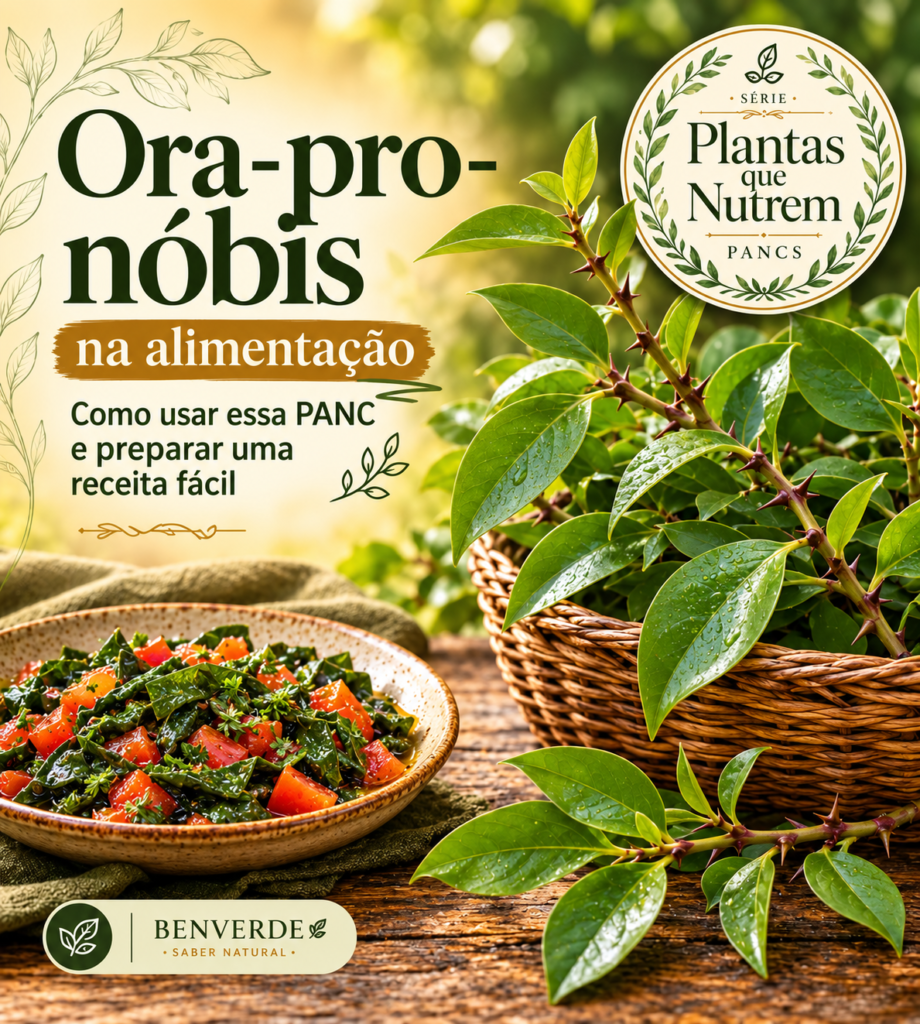Imagem de capa sobre ora-pro-nóbis na alimentação, com folhas da planta em uma cesta e refogado com tomate e ervas.